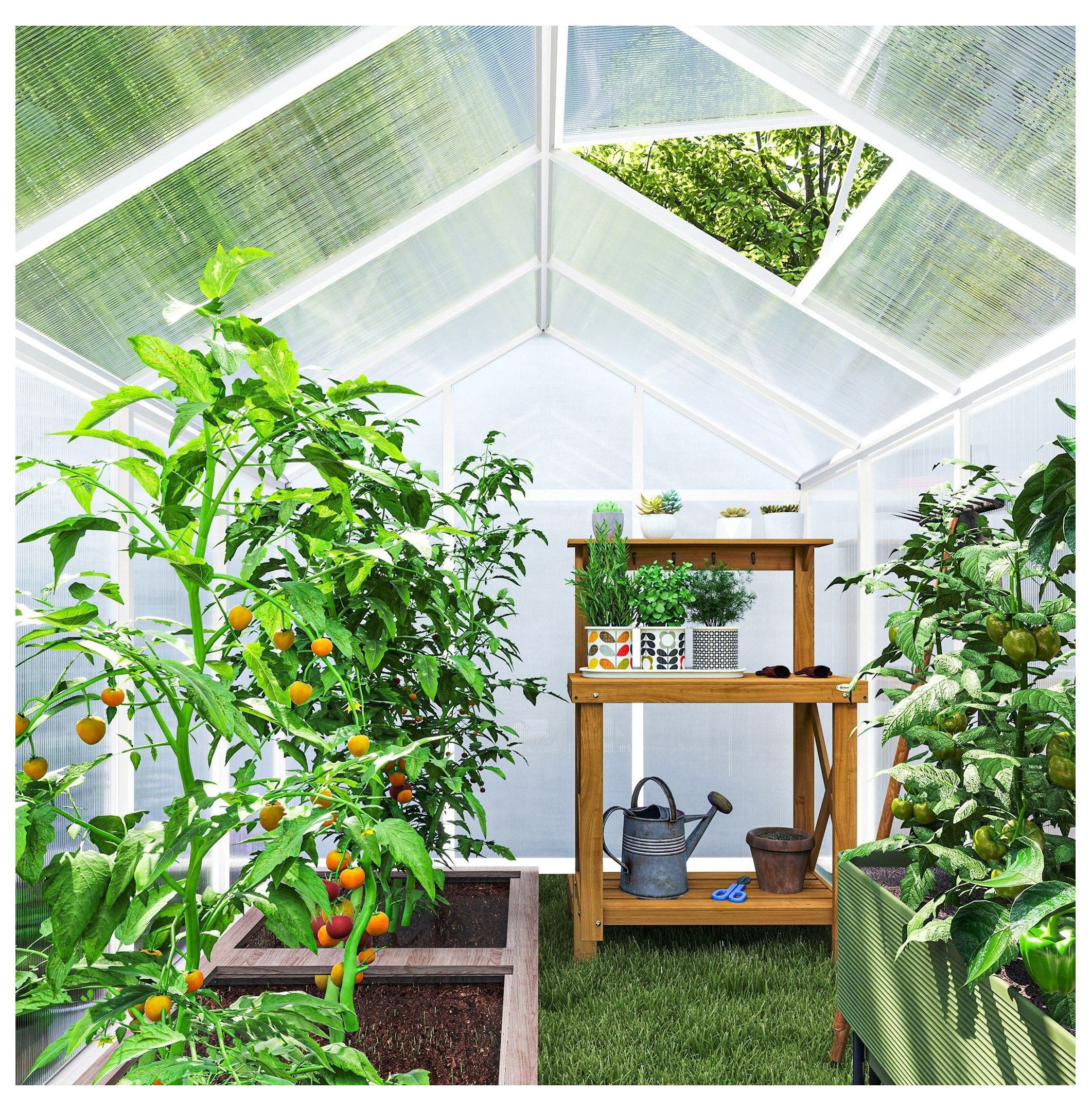 Walk-In Greenhouse - 10'x6' Polycarbonate Greenhouse for Winter - Plant Protector for Vegetables, Flowers, Herbs - UV Protection & Ventilation