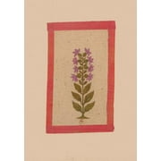 Bnf Botanique: Carnet Lign Fleur 2, Miniature Indienne 18e Sicle (Paperback)