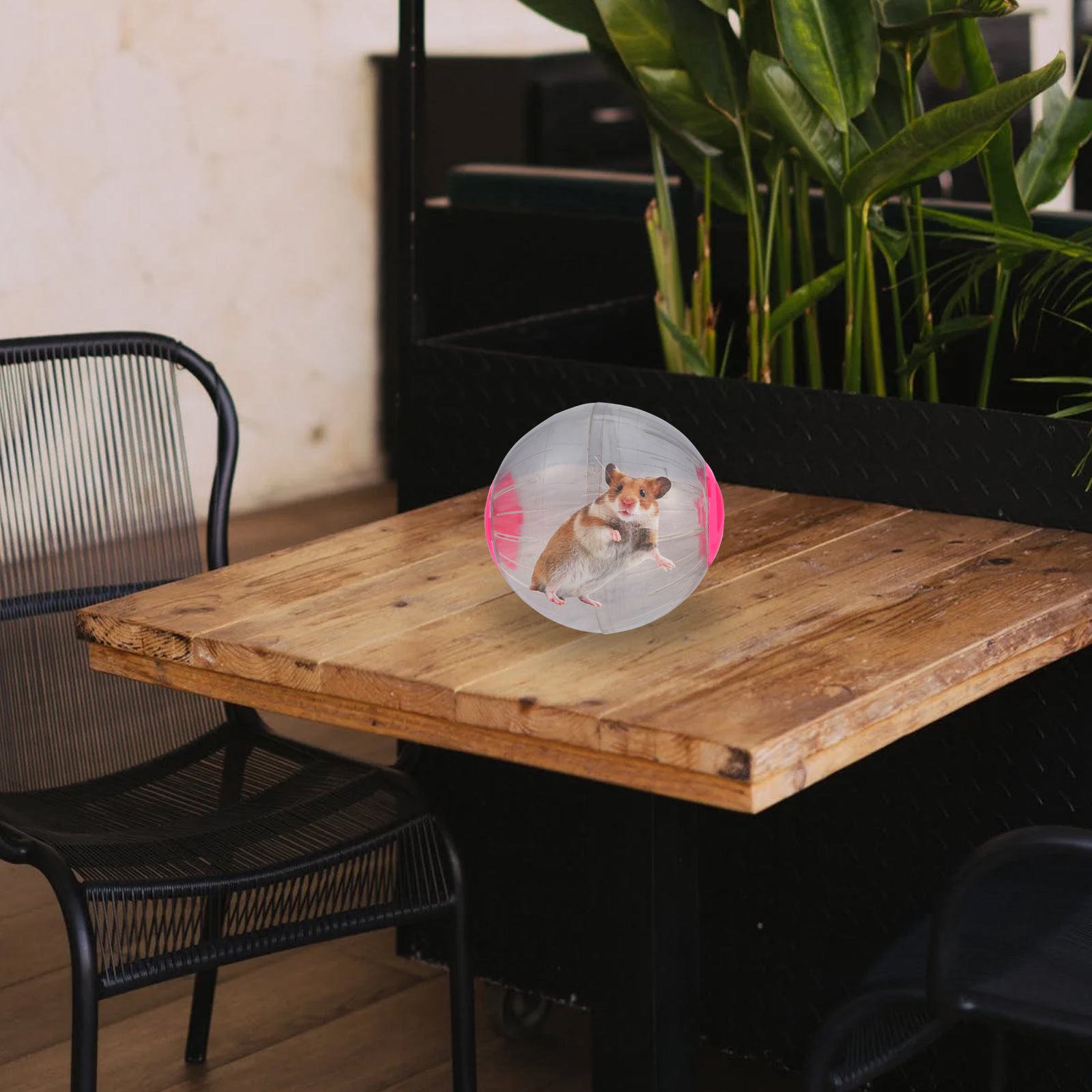 ELAYARD Premium Pink Pet Running Wheel Durable Hamster Exercise Ball for Small Animals
