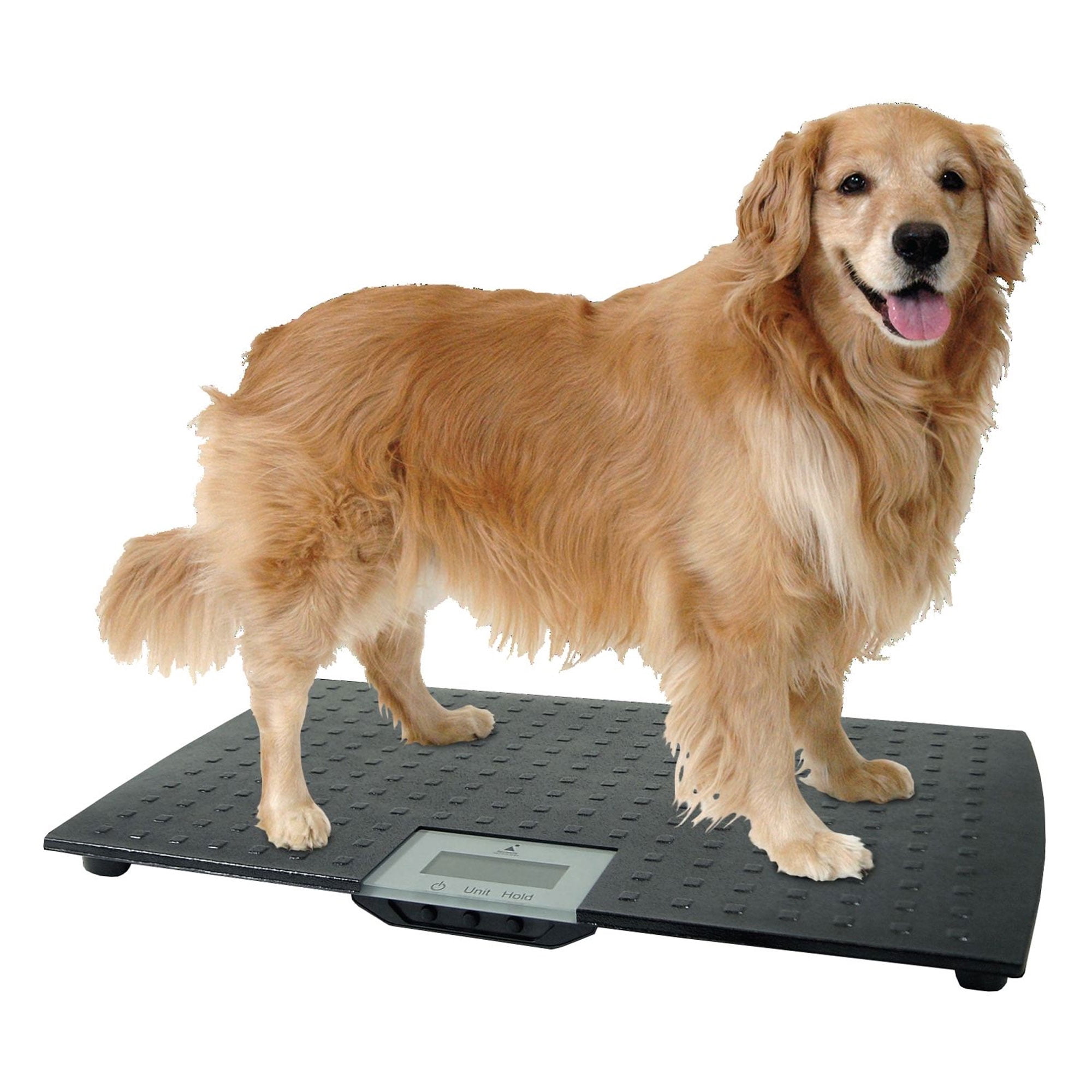 Redmon 7475 Large Digital Pet Scale - Black