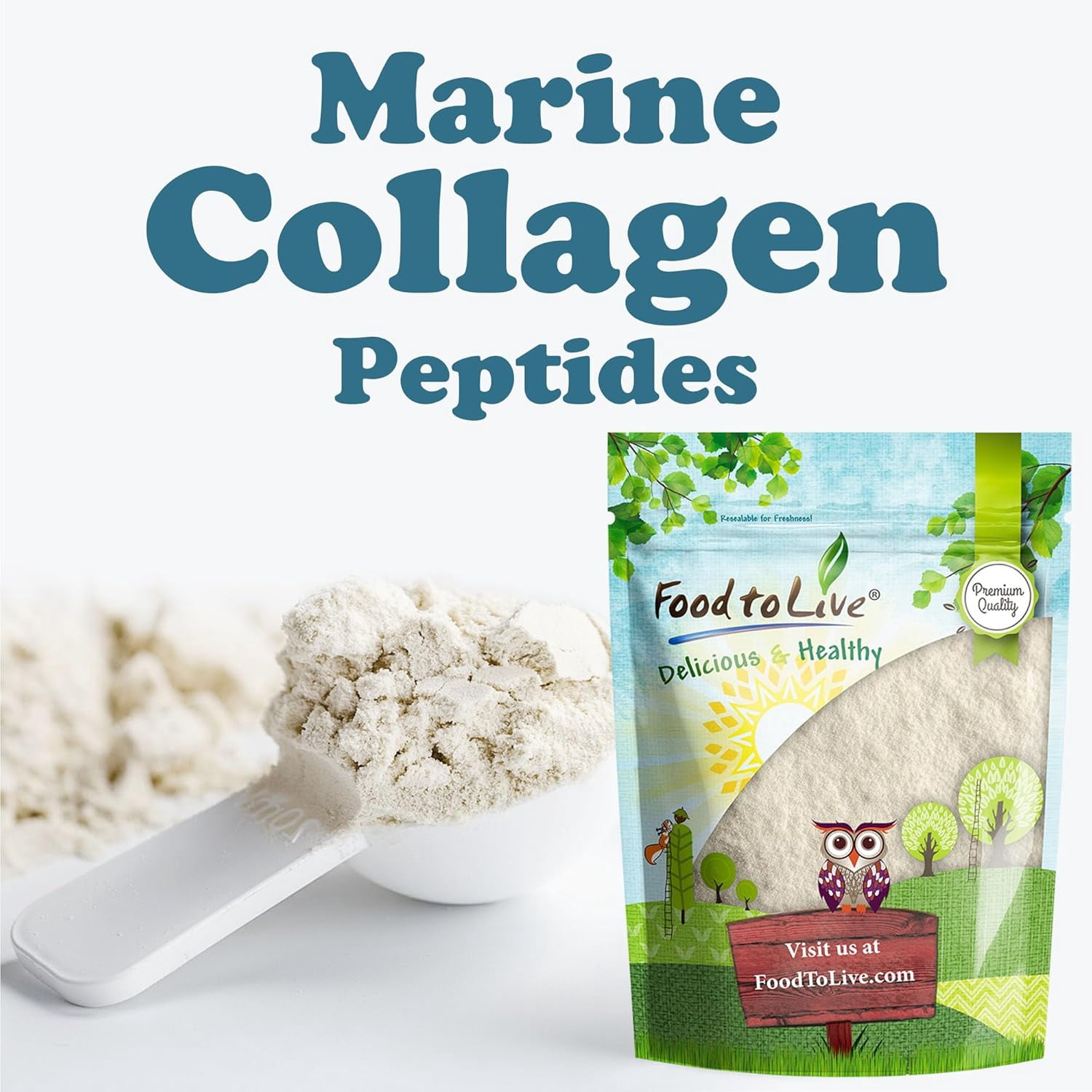 Marine Collagen Peptides, 1.5 Pounds – Unflavored, Easily Dissolved, Bulk - by Food to Live