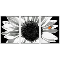 wall26 Framed Canvas Print Wall Art Set Black & White Sunflower with Red Ladybug Floral Botanical Modern Art Rustic Colorful Ultra for Living Room, Bedroom, Office - 16"x24"x3 White