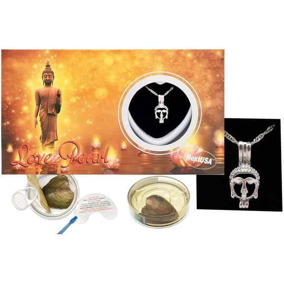 Love Wish Pearl Kit Chain Necklace Kit Pendant Cultured Pearl in Kit Set with Stainless Steel Chain 16" (Buddha)