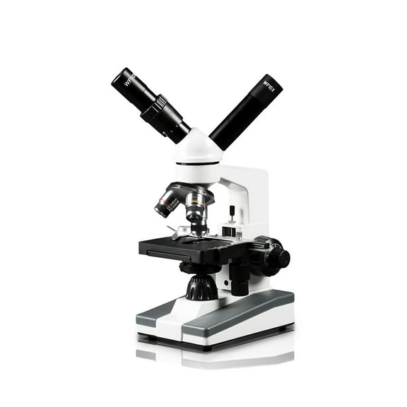Vision Scientific Dual View Elementary Level Compound Microscope, 10x WF & 25x WF Eyepiece, 40x-1000x Magnification, Brightfield LED Illumination, Mechanical Stage, Rechargeable Battery