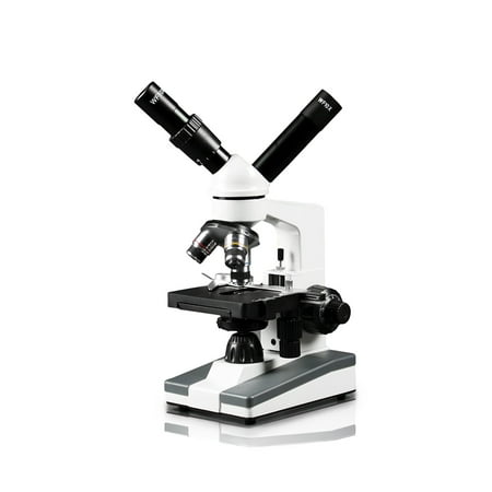 Vision Scientific Dual View Elementary Level Compound Microscope, 10x WF & 25x WF Eyepiece, 40x-1000x Magnification, Brightfield LED Illumination, Mechanical Stage, Rechargeable