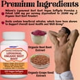 thumbnail image 5 of Nikoni Organic Liposomal Beet Root Supplement 1000 mg Supports Nitric Oxide Production, 120 Vegan Softgels, 5 of 10
