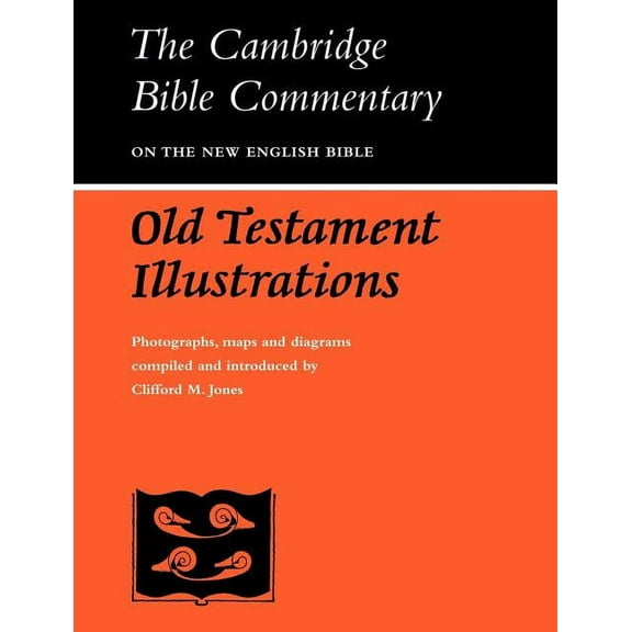 Old Testament Illustrations, (Paperback)