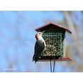 thumbnail image 6 of Amish-Made Double Suet Bird Feeder, Eco-Friendly Poly-Wood Gray/Lime, 6 of 9