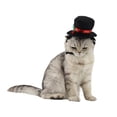 thumbnail image 2 of Mascota perro gato sombrero de copa disfraz de Cosplay sombrero de copa negro Navidad Halloween Cosplays accesorios suministros de disfraces de vacaciones, 2 of 5