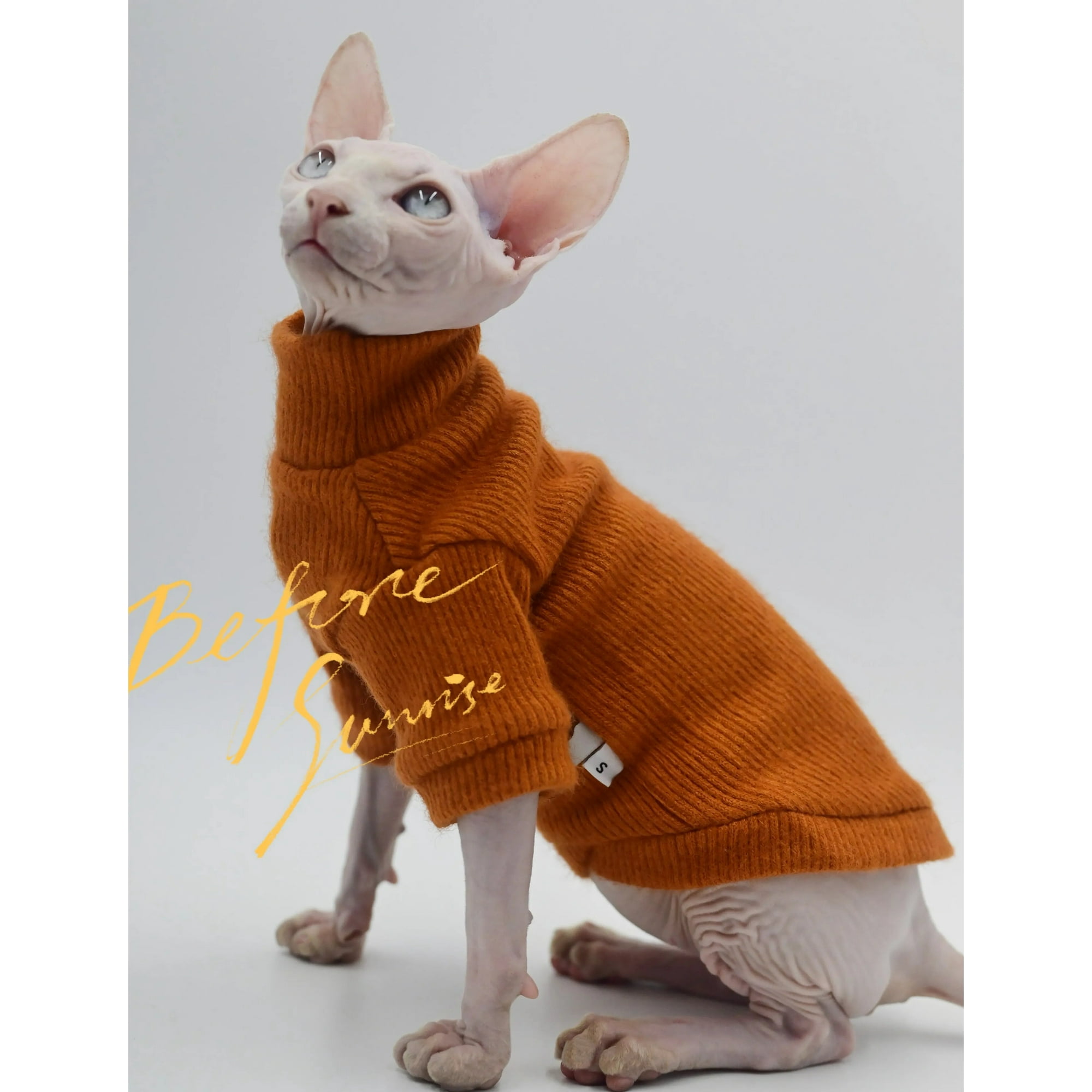 Cat Pull Pour Chat Sphynx Devon Rex Pull En Poil De Chat Pull En