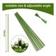 thumbnail image 4 of Estacas para Plantas, Estacas de Soporte para Plantas Adecuadas para Plantas de Interior, 40 Piezas de Palos para Plantas de Tallo Único Flexibles de Color Verde para Jardín, 4 of 5