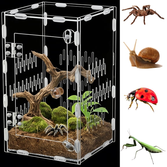Acrylic Jumping Spider Enclosure, 5.9 x 5.9 x 9.8 in Clear Reptile Terrarium Enclosure with Secure Lock and Ventilated Holes, 360° Viewing Reptiles Habitat Tank Breeding Box for Spider Snake Lizard