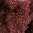 thumbnail image 2 of Vickerman Natural Botanicals 9 lb. Burgundy Reindeer Moss, Preserved., 2 of 2