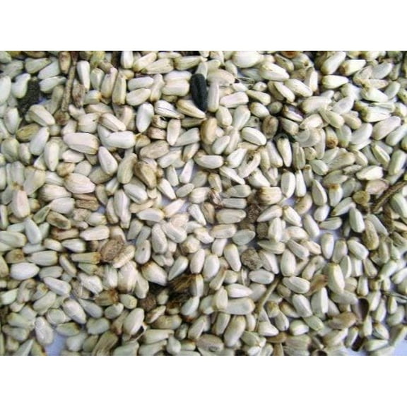 Bilot Company 281640 25 Pound Safflower Seed
