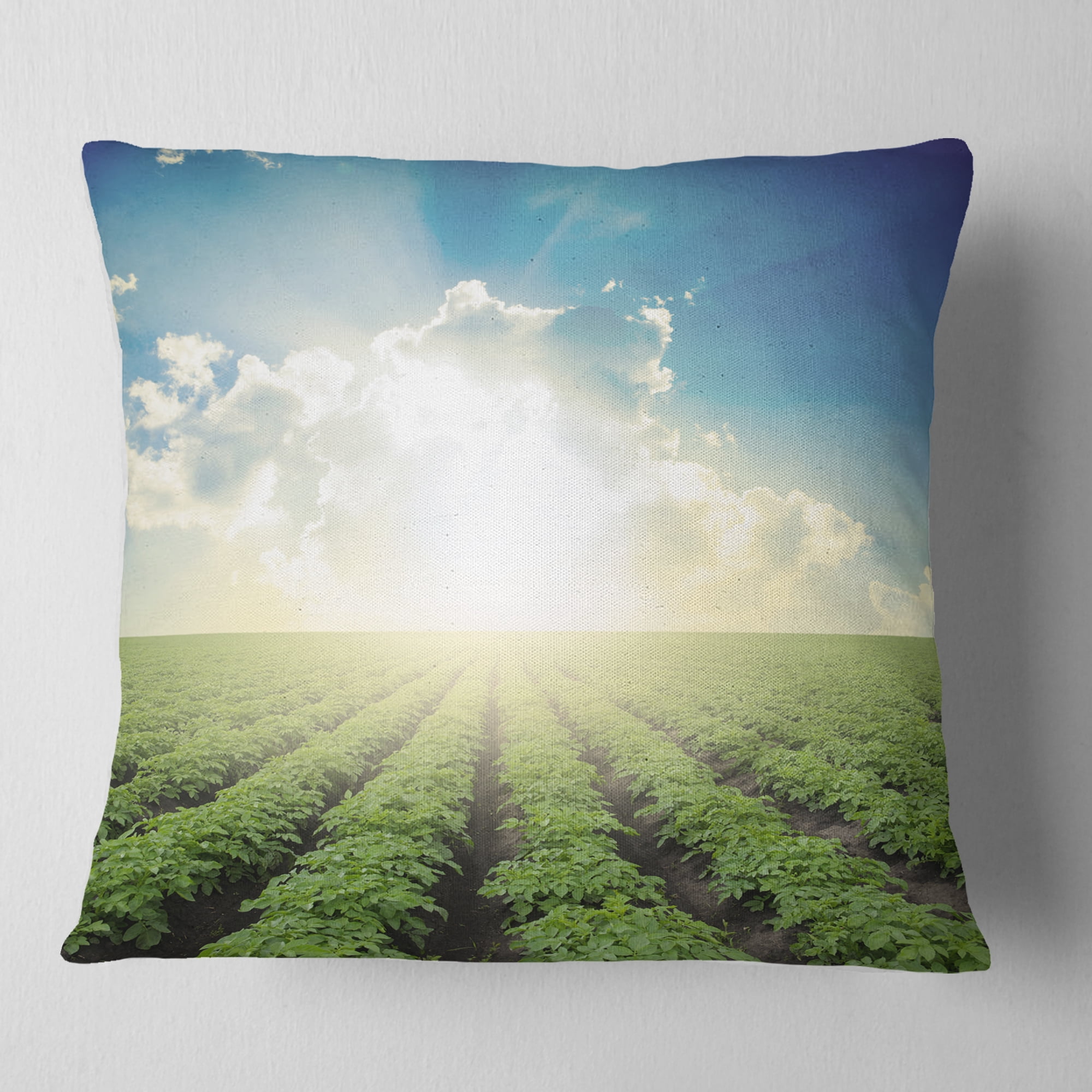 Designart Beautiful Potato Field At Sunset - Landscape Printed Throw Pillow - 18x18