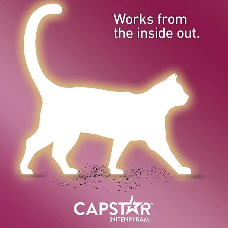 Image 7 of CAPSTAR (nitenpyram) Fast-Acting Oral Flea Treatment for Cats (2-25 lbs), 6 Tablets, 11.4 mg