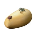 thumbnail image 1 of Escultura de mascota de té de arcilla morada, artesanía coleccionable, encantadora mini mascota de té para D, 1 of 9