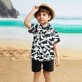 thumbnail image 3 of Tfken Outfits Sets For Child Girls Size 18 Months-24 Months Short Sleeve Dinosaur Print Tops Shorts Cute Daily Wear Grey Outfit Set, 3 of 5