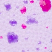 Purple Splatter