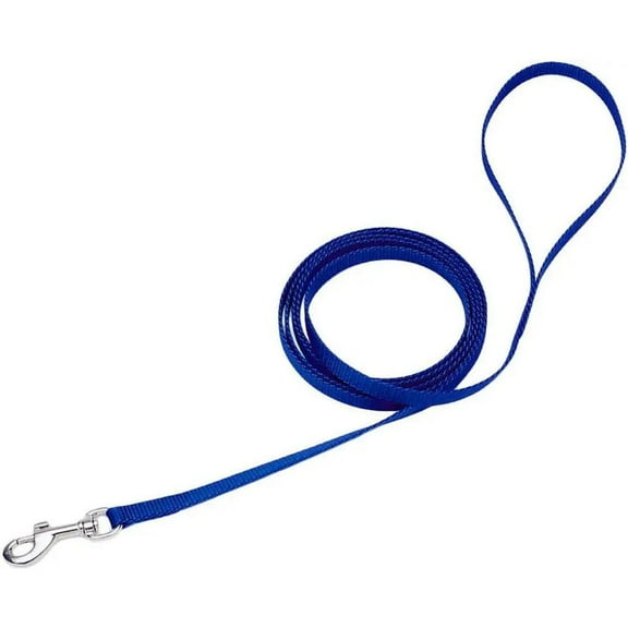 Coastal Pet Nylon Dog Leash with Bolt Snap, 3/8 x 4-Feet, Blue