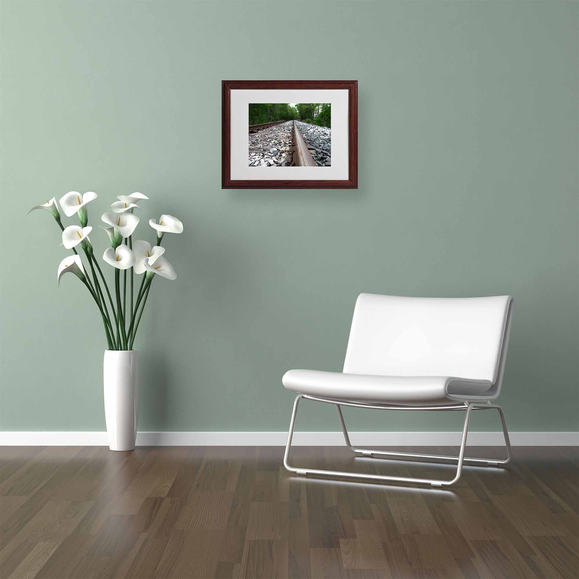 Trademark Fine Art "Guided Journey" Canvas Art by Monica Fleet, Wood Frame