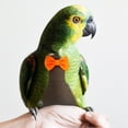 thumbnail image 2 of Shisuyan Bird Diaper Washable Parrot Diaper Pet Bird Flight Suit Diaper Bird Nappy, 2 of 9