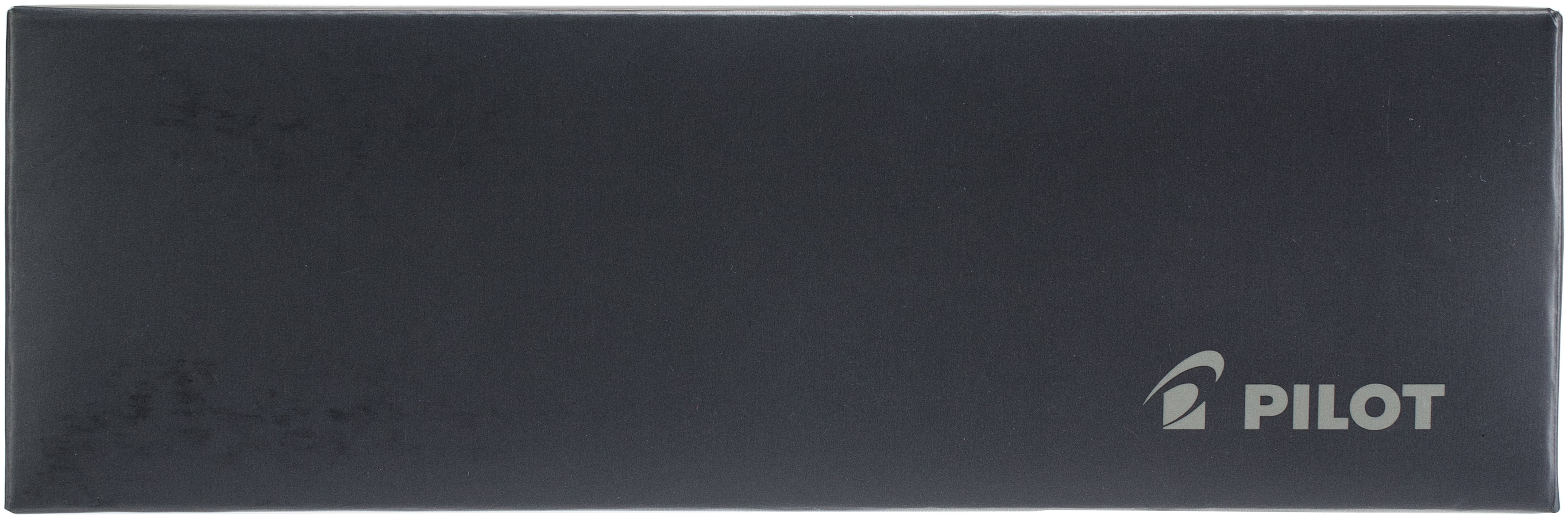 Pilot MR Collection Boxed Medium Fountain Point Pen-Animal, Plum Leopard W/Black Ink