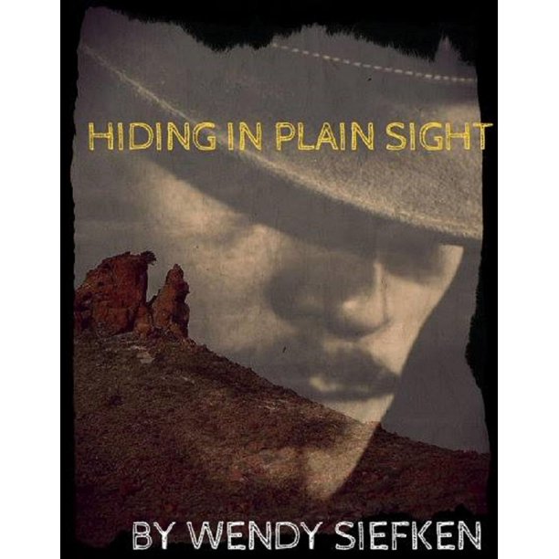 Hiding in Plain Sight eBook