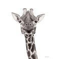 thumbnail image 2 of Nieman, Rachel 12x14 White Modern Wood Framed Museum Art Print Titled - Safari Giraffe Peek-a-boo, 2 of 4