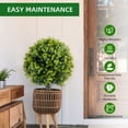 thumbnail image 6 of Artificial Topiary Ball Trees (Set of 2) – 24 Inch Fake Outdoor Plants for Garden, Patio, Porch Decor – UV Resistant & Easy to Install with Metal Ground Spike – Indoor & Outdoor Use, 6 of 8