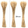 thumbnail image 4 of Wheat Stalks, 100Pcs Natural Ear of Wheat Grain Flowers for, 4 of 8