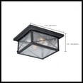 thumbnail image 5 of Nuvo Lighting Wingate 2 Light Outdoor Flush, 5 of 12