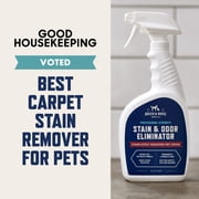 (2 pack) Rocco Roxie Stain Odor Elim Spray 24oz