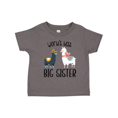 

Inktastic World s Best Big Sister Gift Toddler Toddler Girl T-Shirt