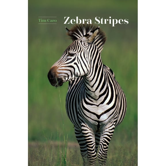 Zebra Stripes (Hardcover)