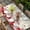 Beige Red, variant on Love Heart Valentine's Table Cloths for 4 Foot Rectangle Tables, Vintage Eucalyptus Botanical Red Pink Patio Waterproof Elastic Fitted Tablecloths, Washable Rectangular Table Cover for Camping