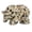 Spotted, variant on Rupoun Hand Carved Gemstone Crystal Bear Figurine 1.5 inches / 3.81 cm Animal Statue for Office Decor and Home Collection