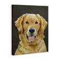 thumbnail image 2 of Stupell Industries Farmhouse Joyful Golden Retriever Portrait Canvas Art, 16 x 20, by Lil' Rue, 2 of 8