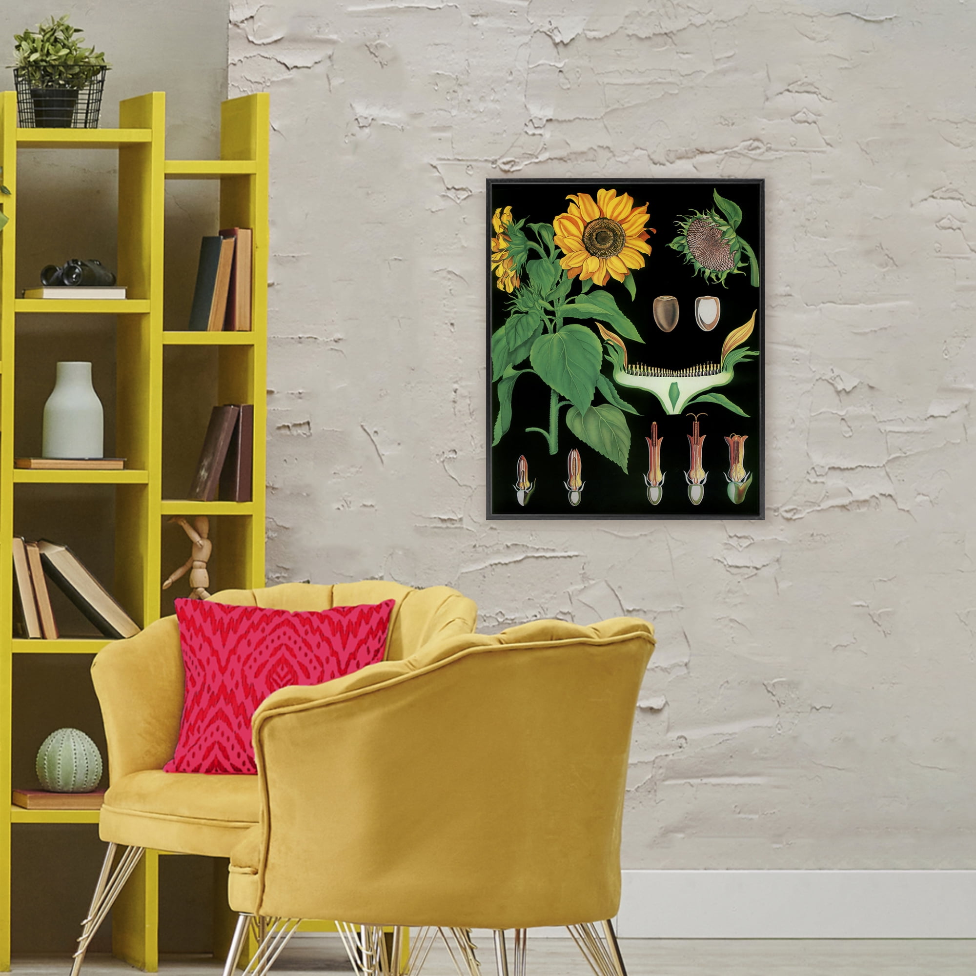 Stupell Industries Sunflower Bulb Illustrations Black Framed Giclee Art, design by Vintage Hustle