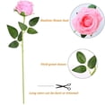 thumbnail image 4 of Zukuco 10 PCS Artificial Rose Flower Silk Roses Bouquet with Long Stem Fake for DIY Wedding Party Home Halloween Christmas Decoration (Pink), 4 of 7