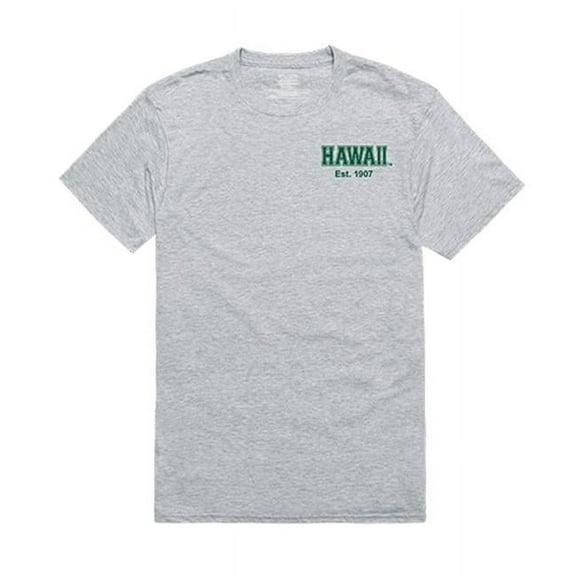 University of Hawaii at Manoa Mens Practice Tee - Heather Grey - Extra Large