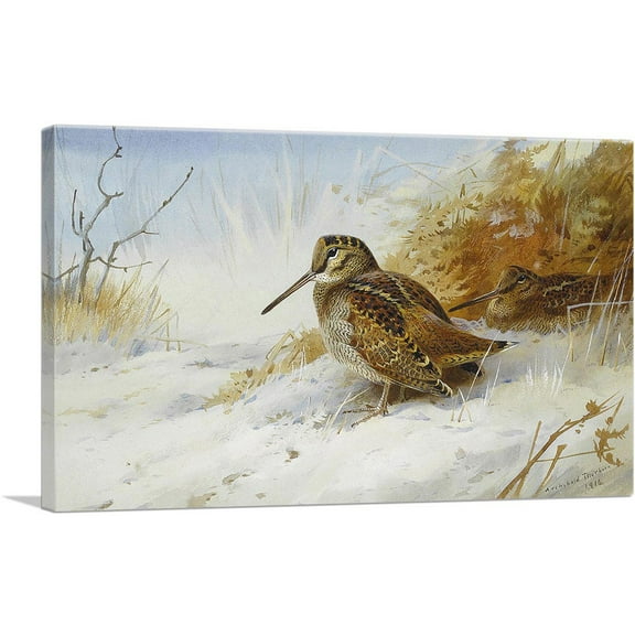 ARTCANVAS Winter Woodcock Canvas Art Print by Archibald Thorburn - Size: 26" x 18" (0.75" Deep)