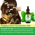 thumbnail image 4 of Aliver Mint Oil for Skin and Hair Care, Scalp & Hair Natural Oil for All Hair Types - 4 oz., 4 of 10