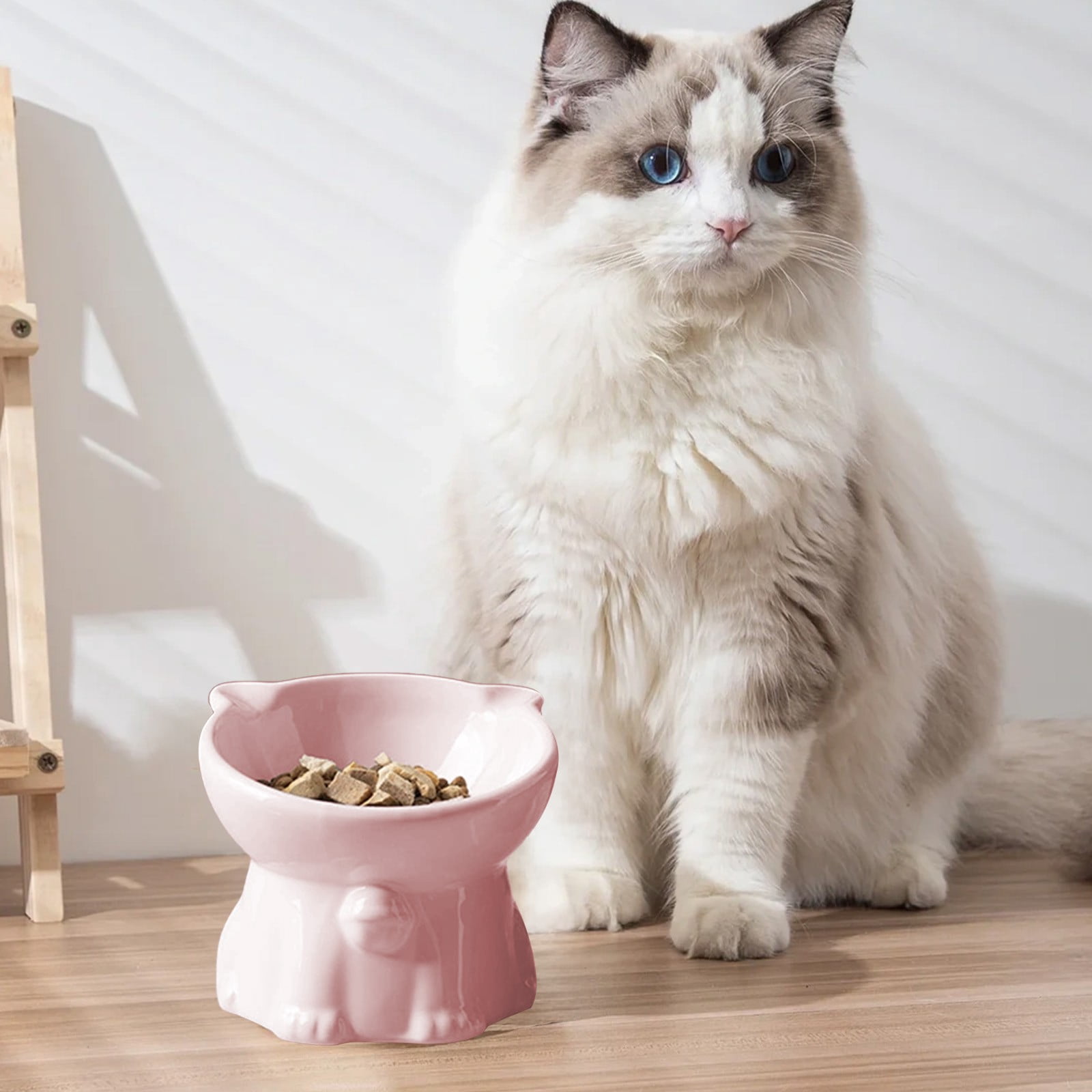 Elevated Cat Food and Water Dish Pet Bowl,Cat Food Dish Ceramic Cat Dishes for Food,Pet Bowls Dog Food and Water Bowl,Cat Must Haves for Indoor Cats
