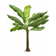 thumbnail image 3 of Fab Funky 12x14 Black Modern Framed Museum Art Print Titled - Banana Tree 1, 3 of 5