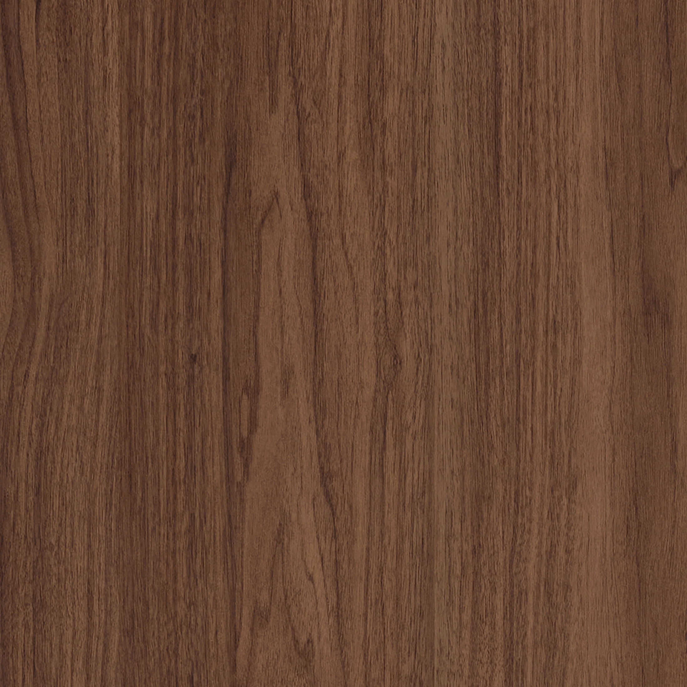 Evelyn&Zoe Modern/Contemporary 28" Wide Satin Walnut Accent Cabinet