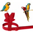 thumbnail image 3 of Bracelet Élastique Anti-Morsure Réglable en Laisse de Perroquet pour Oiseaux Perroquets Cacatoès Aras Fonepro Rouge, 3 of 5