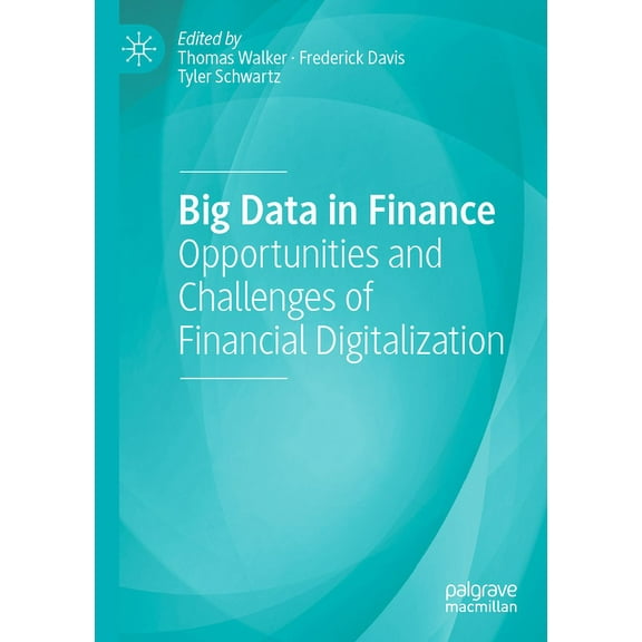Big Data in Finance: Opportunities and Challenges of Financial Digitalization, (Paperback)