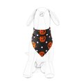 thumbnail image 3 of Pet Hatspet Hat With Ear Holes Dog Sport Baseball For Sun Protection Adjustable Buckle Bluel, 3 of 5
