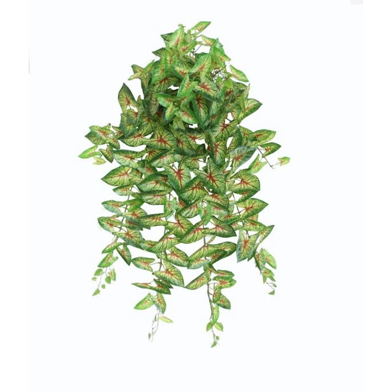 39.50" Green and Red Artificial Caladium Spring Floral Hanging Bush
